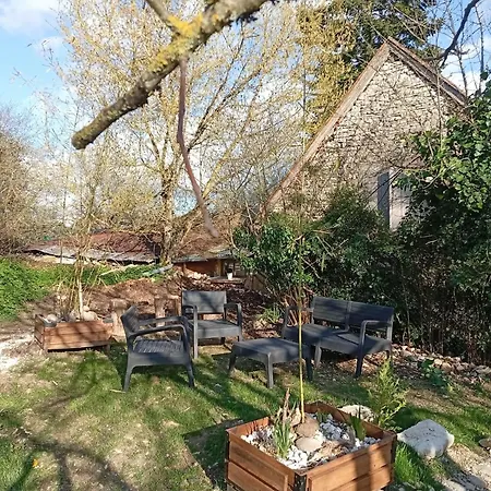 L'harmonie Des Oiseaux