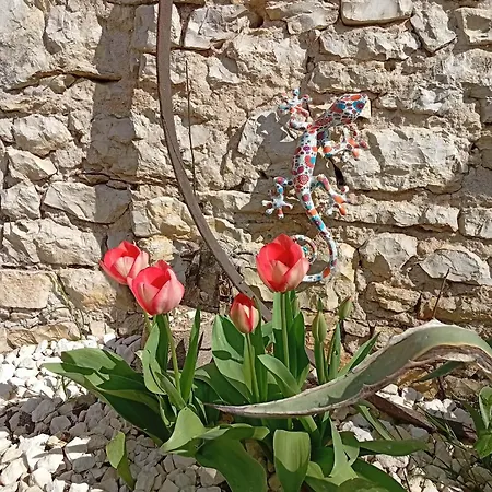 L'harmonie Des Oiseaux Σπίτι διακοπών