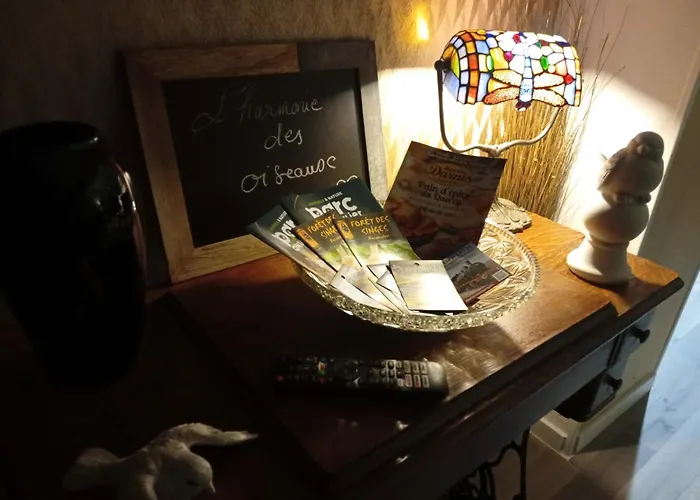 L'harmonie Des Oiseaux * Meyronne