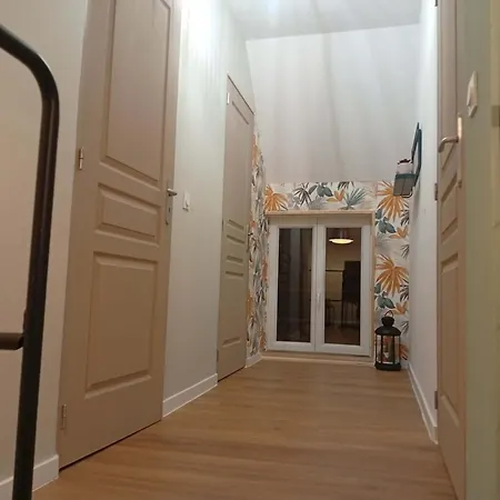 L'harmonie Des Oiseaux Meyronne