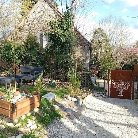 L'harmonie Des Oiseaux * Meyronne