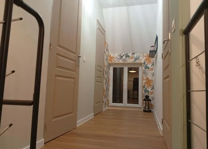 L'harmonie Des Oiseaux Meyronne