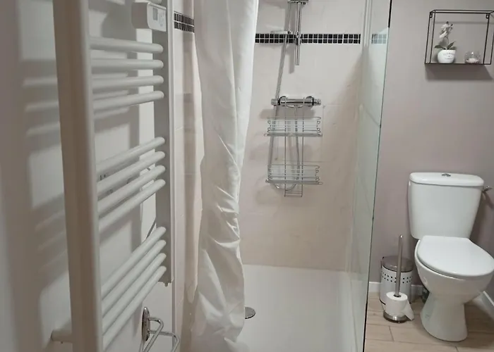 L'harmonie Des Oiseaux Meyronne