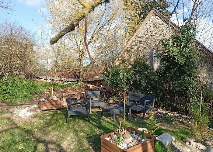 L'harmonie Des Oiseaux