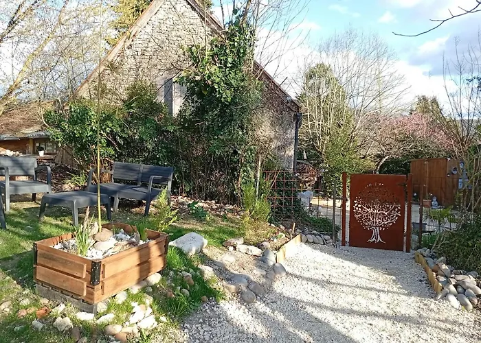 L'harmonie Des Oiseaux * Meyronne