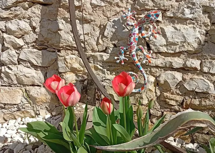L'harmonie Des Oiseaux Ferienhaus